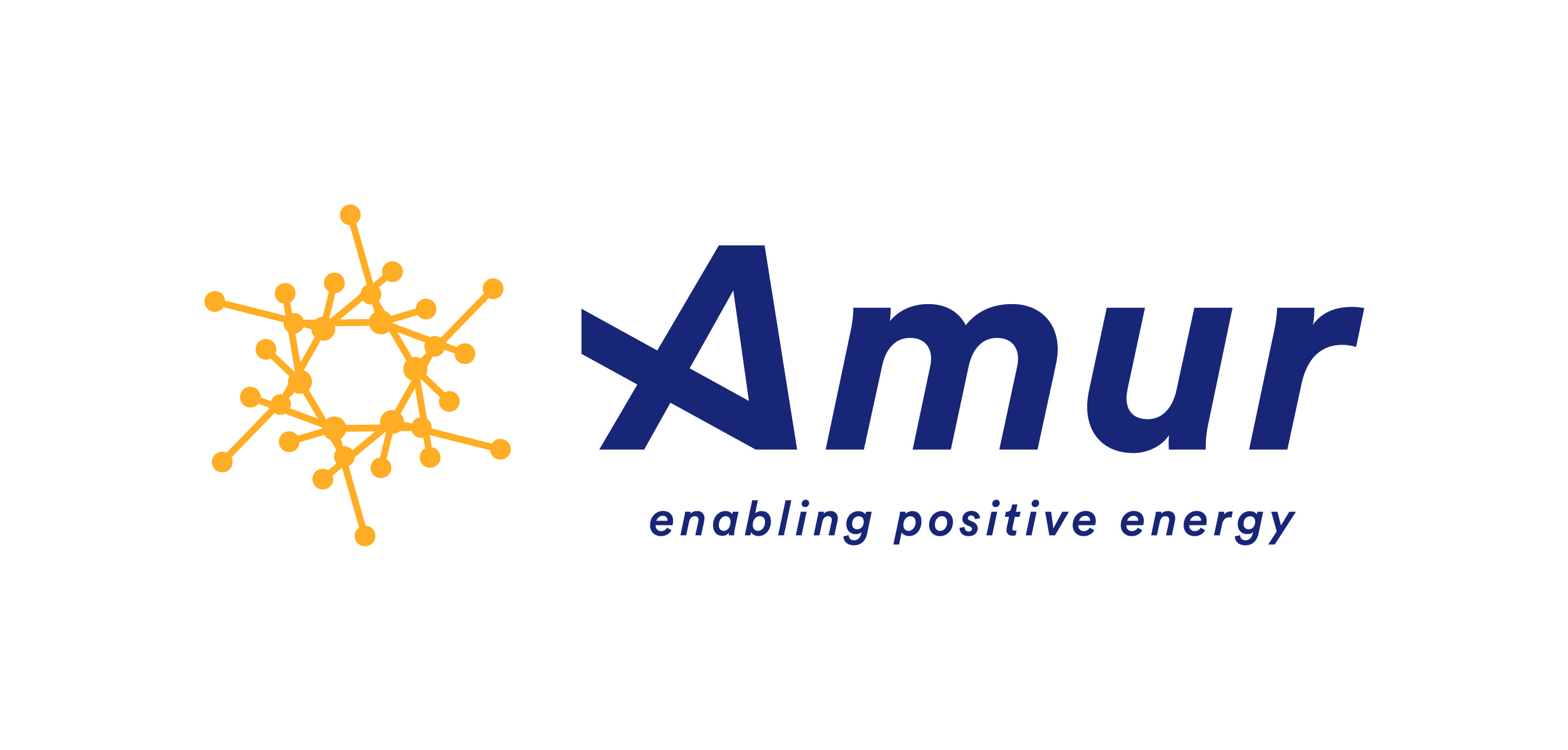 Organisation Logo - Amur Energy